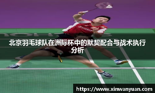 北京羽毛球队在洲际杯中的默契配合与战术执行分析